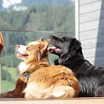 Chalet Chill House Schladming