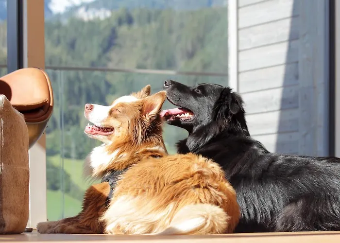 Chalet Chill House Schladming